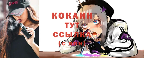 спайс Бородино