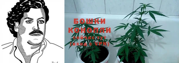 мескалин Богородицк