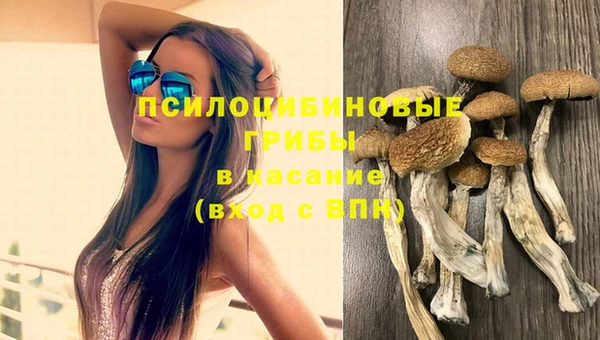 МДПВ Богородск