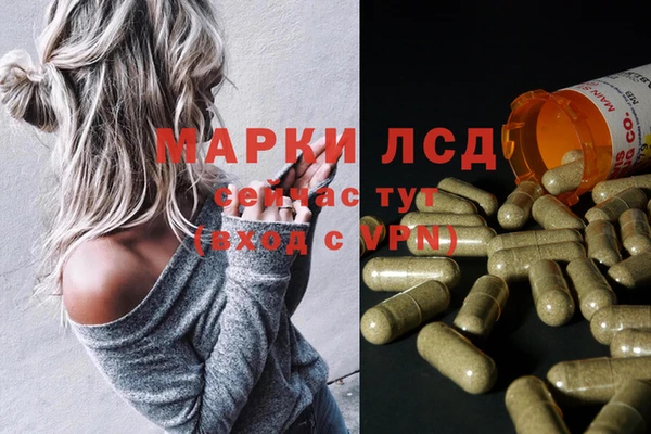 спайс Бородино