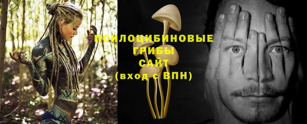 скорость Бронницы
