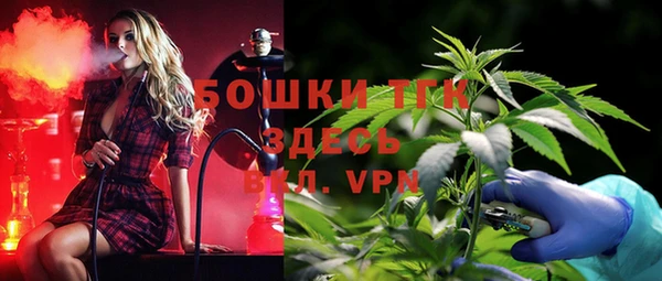 мескалин Богородицк